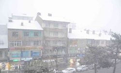 Tatvan’da kar yağışı başladı