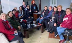 CHP Kayseri kadınları evleri geziyor