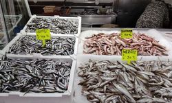 Akçakoca’da balıkçılar balık azlığından dertli