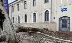Beşiktaş’ta devrilen ağaçtan kopan parça ticari taksinin üzerine düştü