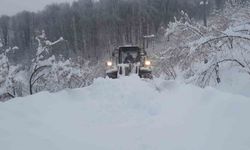 Düzce’de kar köy yollarını kapattı