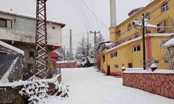 Etkisini sürdüren kar 17 köy yolunu kapadı