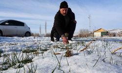 Kar yağışı hububat üreticilerini umutlandırdı