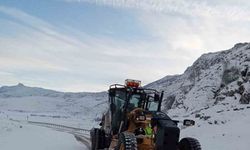 Kar yağışının etkili olduğu Afyonkarahisar’da kapalı köy yolu yok