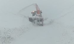 Kardan kapanan Şemdinli-Derecik yolu ulaşıma açıldı