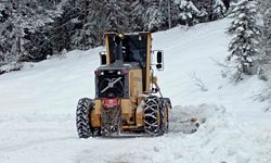 Kastamonu’da kar yağışı sebebiyle 169 köy yolu ulaşıma kapandı