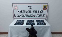 Kastamonu’da uyuşturucu operasyonu: 6 tutuklama