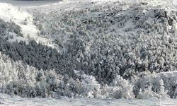 Kazdağları Milli Parkı kar yağışı nedeniyle geçici olarak ziyarete kapatıldı