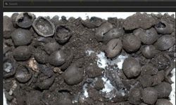 Kütahya’daki kazı dünyanın ön önemli keşifleri arasında yer aldı
