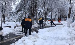 Malatya’da 530 kırsal mahallenin yolu kardan kapandı