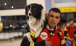 Meksika, meşhur arama kurtarma köpeklerini Türkiye’ye gönderdi