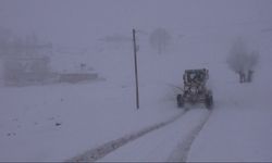 Muş’ta 297 köy yolu ulaşıma kapandı