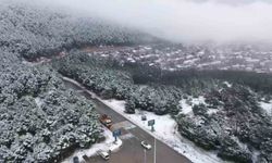 Pendik’te Aydos Ormanı’nda kar manzarası havadan görüntülendi