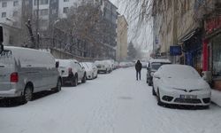 Tunceli’de kar yeniden bastırdı, 251 köy yolu ulaşıma kapandı