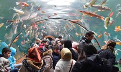 Yıldırım’da tünel akvaryumu 10 günde 40 bin kişi ziyaret etti