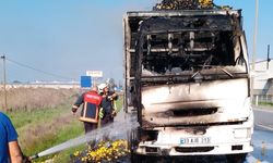 Limon yüklü kamyonda çıkan yangın maddi hasara neden oldu