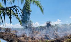 Tayland’daki orman yangını devam ediyor
