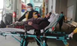 Erzincan’da 6 kişi mantar zehirlenmesi şüphesi ile hastaneye kaldırıldı