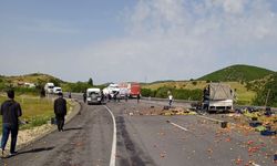 Bingöl’de tır kamyonetle çarpıştı: 1 ölü, 1 yaralı