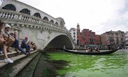 Venedik Kanalı yeşile büründü