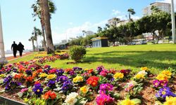 Mersin yazı çiçeklerle karşılıyor