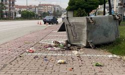 Otomobil çöp konteynerine çarptı: 1 yaralı