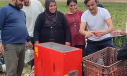 Ünlü oyuncu Ersin Korkut domates toplayıp salça yaptı