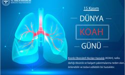Erzincan Sağlık Müdürlüğü'nden KOAH Günü Açıklaması