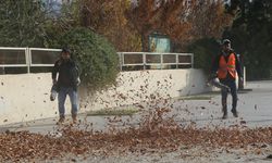 Erzincan Belediyesinden sonbahar temizliği