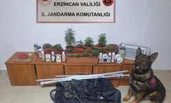 Erzincan’da jandarma ekipleri suç ve suçluya geçit vermiyor