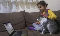 5 Yaşındaki Asel'in Kedisi Bücür, Cep Telefonu ve Bilgisayar Bağımlısı Oldu