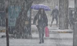 Muş’ta etkili olan kar yağışı 102 köy yolunu ulaşıma kapattı