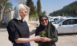Bilecik Belediye Başkanı Şubaşı, vatandaşlara çiçek hediye etti