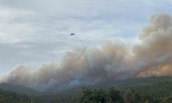 Çanakkale Valiliğinden orman yangınlarına karşı uyarı