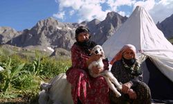 Erzincan'da havalar ısındı, meralar şenlendi