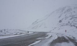 Erzincan’ın yüksek kesimlerinde kar, kent merkezinde bahar