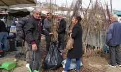 Erzincan’da meyve fidanı satışı başladı