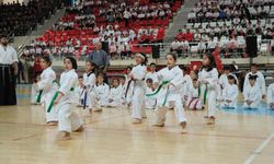 Erzincan'da Atatürk'ü Anma Gençlik ve Spor Bayramı Coşkusu