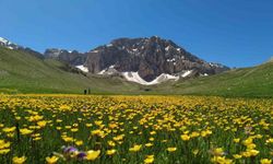 Doğaseverlerin Yeni Gözdesi: Erzincan Merg Yaylası