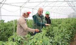 Erzincan, Son Yılların Yatırımlarının Meyvelerini Topluyor