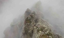 Sis bulutlarının ardındaki kayalıkları mesken tutan dağ keçileri mest etti