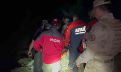 Tunceli'de Ayı Saldırısı: Bir Kişi Hayatını Kaybetti