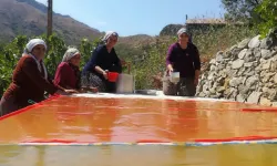 Kemaliye'de Dutun Bereketi