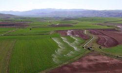 Erzincan'da Tarım Devrimi! 2025 Hibe Programı ile Yatırımlar Şahlanıyor