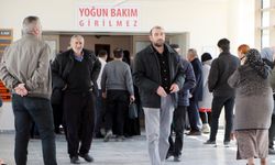 Erzurum'da Sokak Köpeklerinin Dehşeti: Küçük Murat Ölümle Pençeleşiyor!