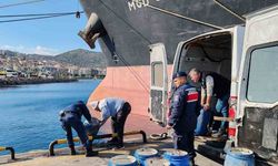 İzmir’de yasadışı yollarla avlanan deniz patlıcanları denize salındı