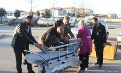 Köpekten kaçarken düşen çocuk yaralandı