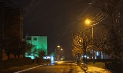 Edirne’de kar yağışı başladı