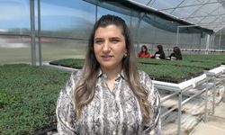 Erzincanlı Öğrenciler 180 Bin Sebze Fidesi Üreterek Üretime Güç Katıyor