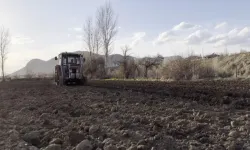 Patatesin Başkenti Çayırlı’da Sezon Umutla Başladı